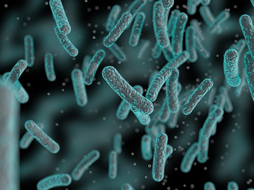 Acetylation Site Identification Service